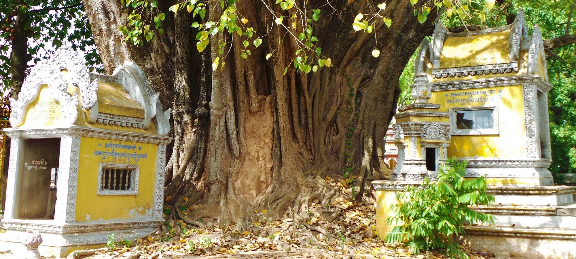 Photos from our Cambodia Cycling Holiday